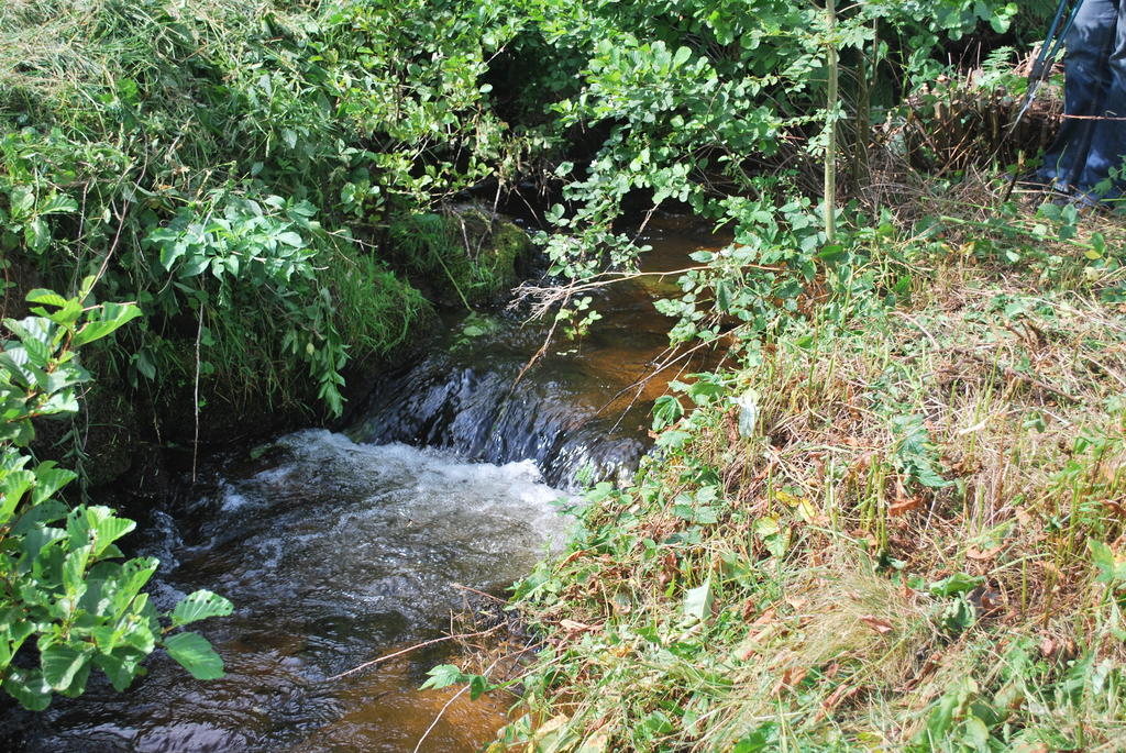 Viscomtat Le Moulin De La Fortie, Maison D'Hotes מראה חיצוני תמונה